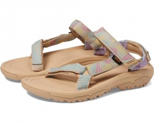 Teva Hurricane Xlt2 Women's Sandals Brown | 82DHBPREM