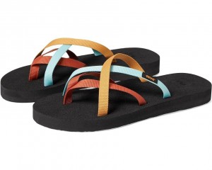 Teva Olowahu Women's Flip Flops Multicolor | 30FREKDVO