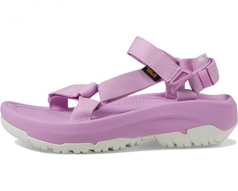 Teva Hurricane Xlt2 Ampsole Women's Sandals Purple | 39LKJNVUM