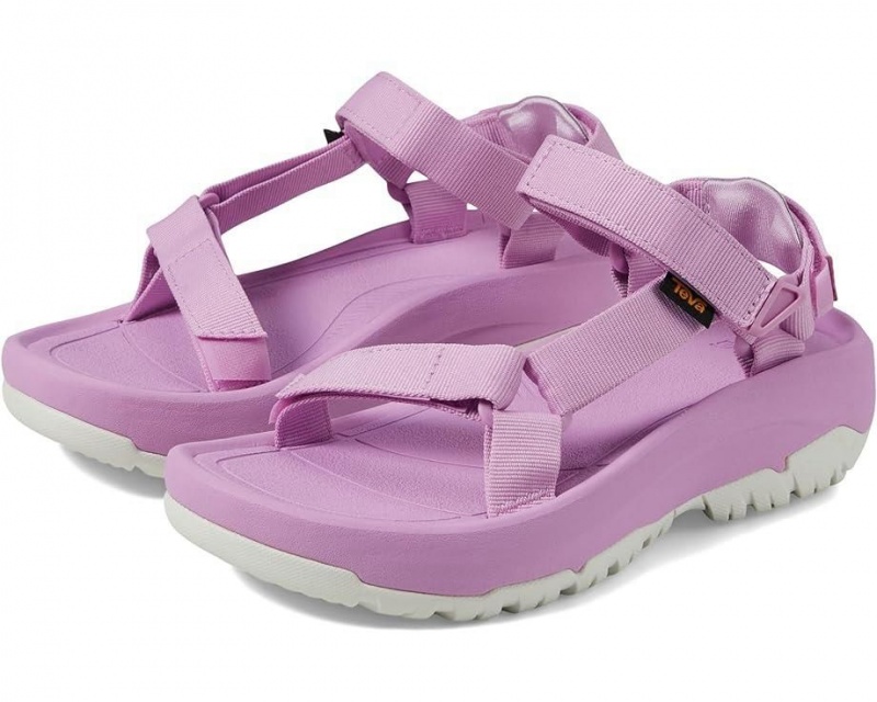 Teva Hurricane Xlt2 Ampsole Women\'s Sandals Purple | 39LKJNVUM