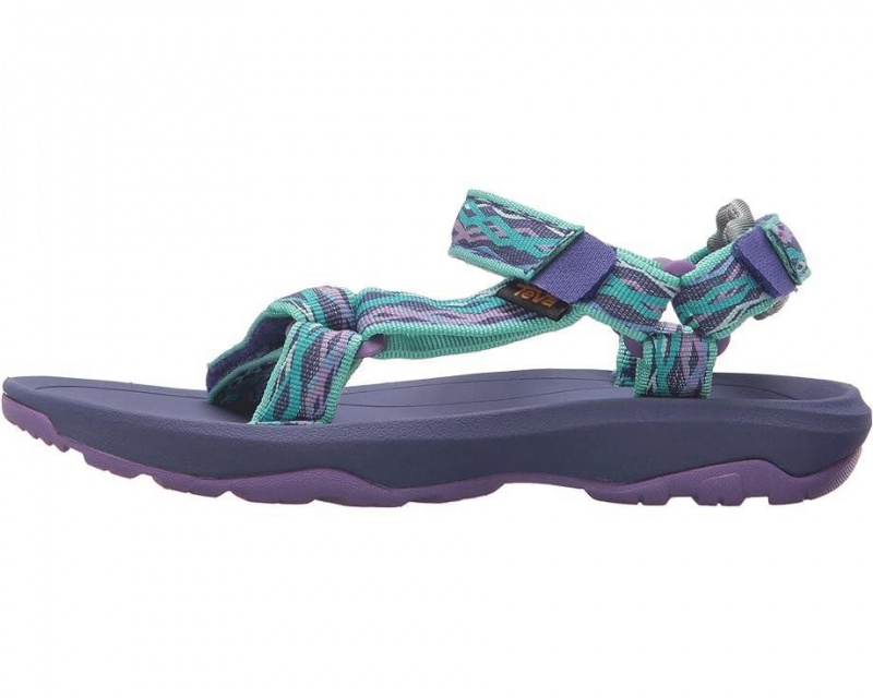 Teva Hurricane Xlt2 Kids' Sandals Purple | 08YLMHUKS