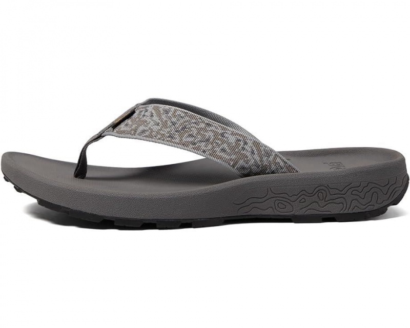 Teva Hydratrek Men's Flip Flops Grey | 90VABSEHI