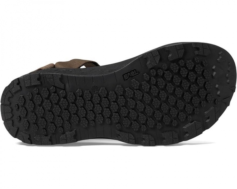 Teva Hydratrek Men's Sandals Brown | 54BZHNWCX