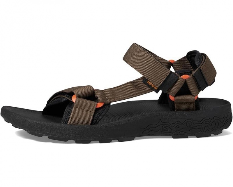 Teva Hydratrek Men's Sandals Brown | 54BZHNWCX