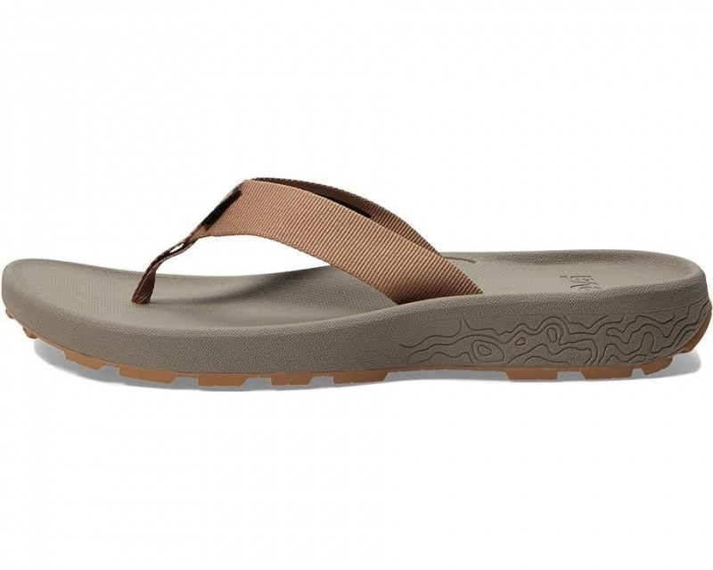 Teva Hydratrek Women's Sandals Brown | 78IDGMJAU