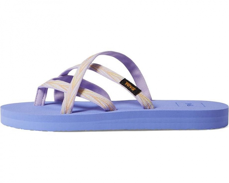 Teva Olowahu Kids' Sandals Purple | 13PUVAQTE