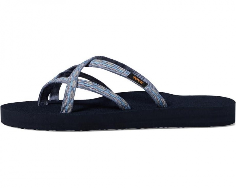 Teva Olowahu Women's Flip Flops Blue | 75FNLIYHV