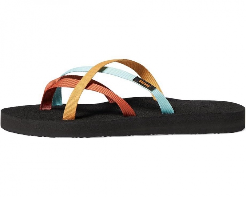 Teva Olowahu Women's Flip Flops Multicolor | 30FREKDVO