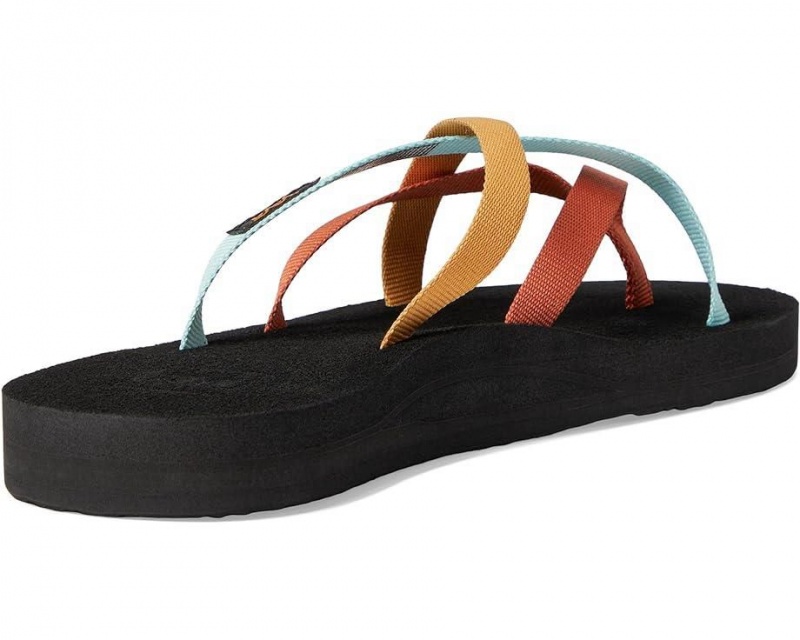 Teva Olowahu Women's Flip Flops Multicolor | 30FREKDVO