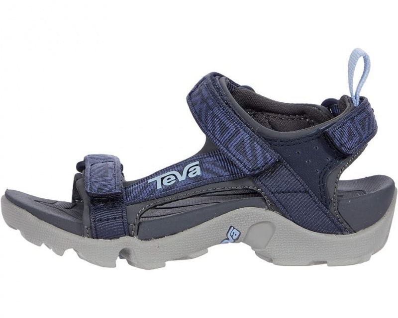 Teva Tanza Kids' Sandals Purple | 16MSDCTGU