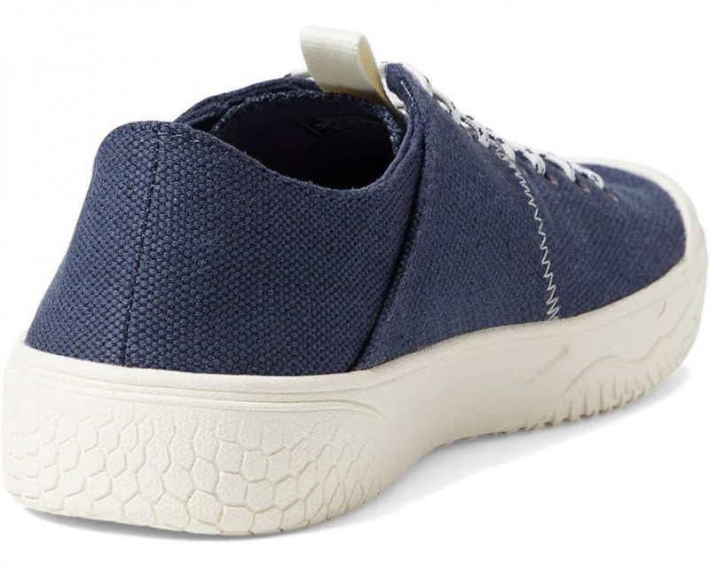 Teva Terra Canyon Men's Sneakers Blue | 98BREOUZS